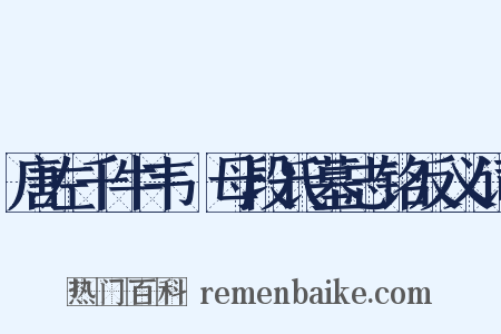 唐左千牛韦珮母段氏墓志铭反义词是什么意思的图片